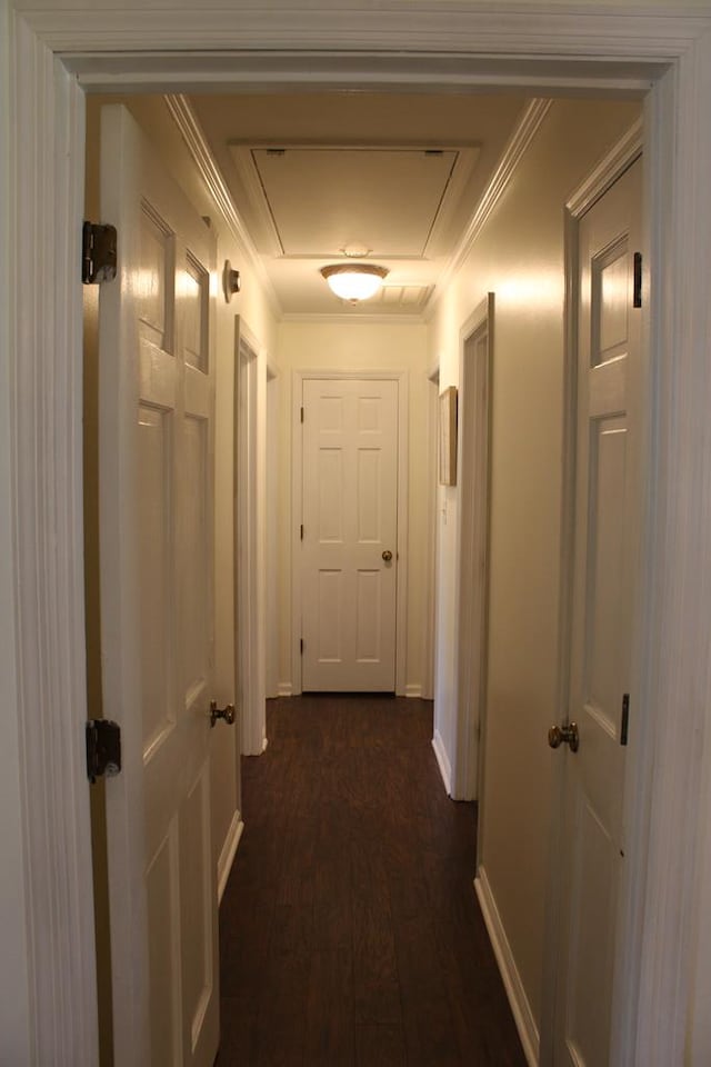 hallway with baseboards, attic access, ornamental molding, and dark wood-style flooring