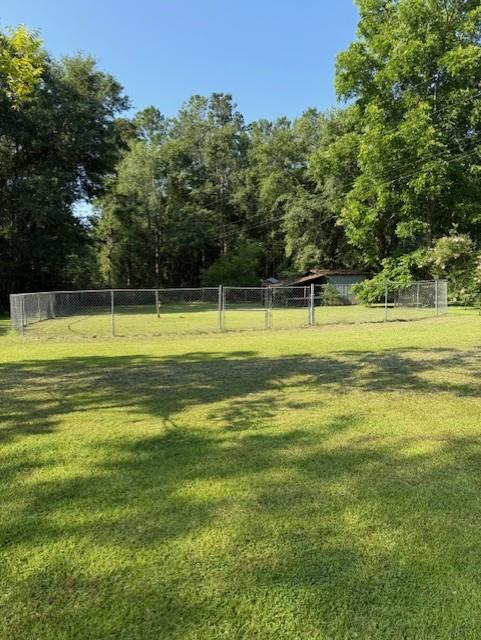10806 Ga Highway 202, Ochlocknee, GA 31773 - view of yard