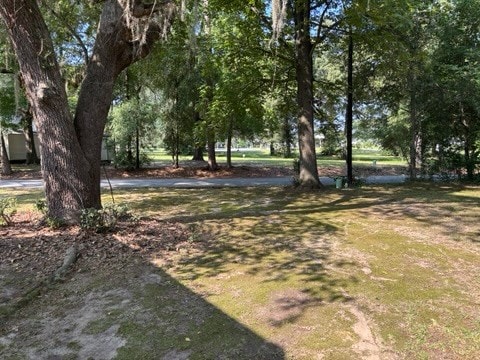1351 Reynolds St, Bainbridge, GA 39817 - photo 23