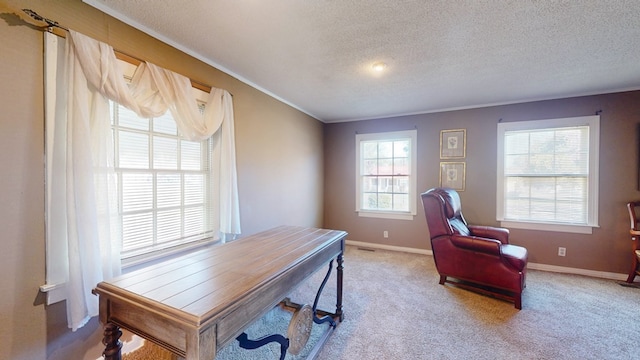 office featuring a textured ceiling, light carpet, and ornamental molding