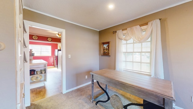 carpeted home office with crown molding and a textured ceiling