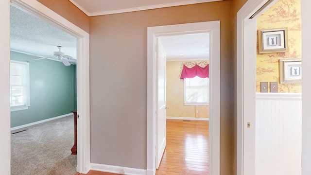 hallway featuring light hardwood / wood-style floors, crown molding, and a textured ceiling