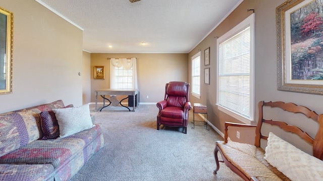 carpeted living room with a textured ceiling and ornamental molding