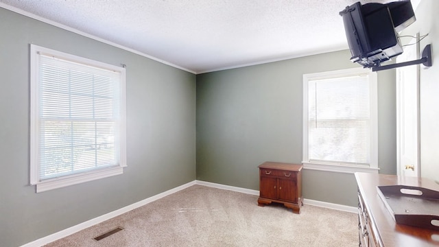 carpeted empty room with a textured ceiling and ornamental molding