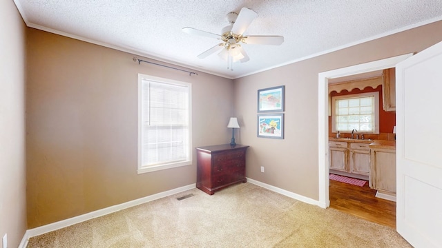 spare room featuring sink, ceiling fan, a textured ceiling, light carpet, and crown molding