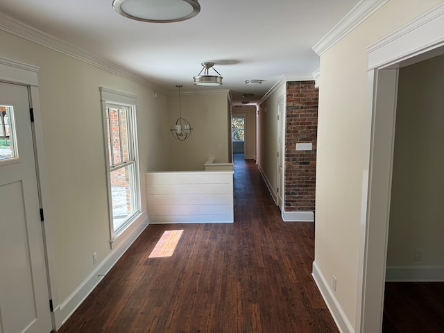 hallway featuring dark wood-type flooring, ornamental molding, and a healthy amount of sunlight