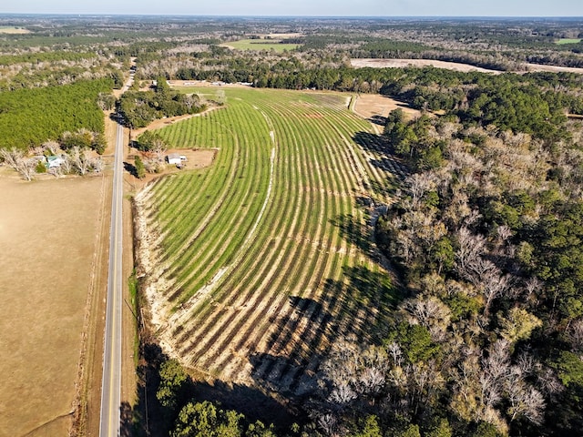 00 Tired Creek Rd, Whigham, GA 39897