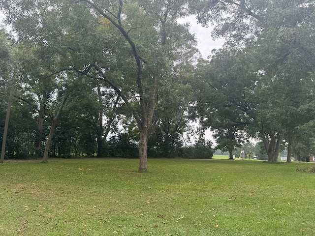 1010 Ga Highway 93 N, Cairo, GA 39827 - view of yard