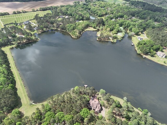 425 Riverwind Trl, Meigs, GA 31765 - photo 59