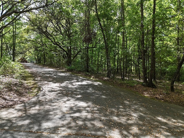 425 Riverwind Trl, Meigs, GA 31765 - photo 62