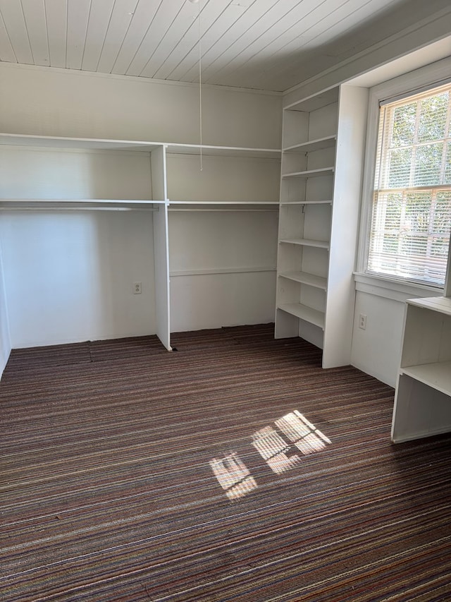 spacious closet with dark carpet