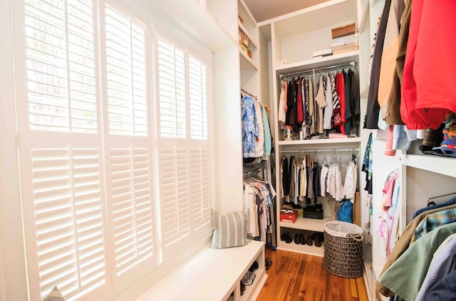 walk in closet with hardwood / wood-style flooring