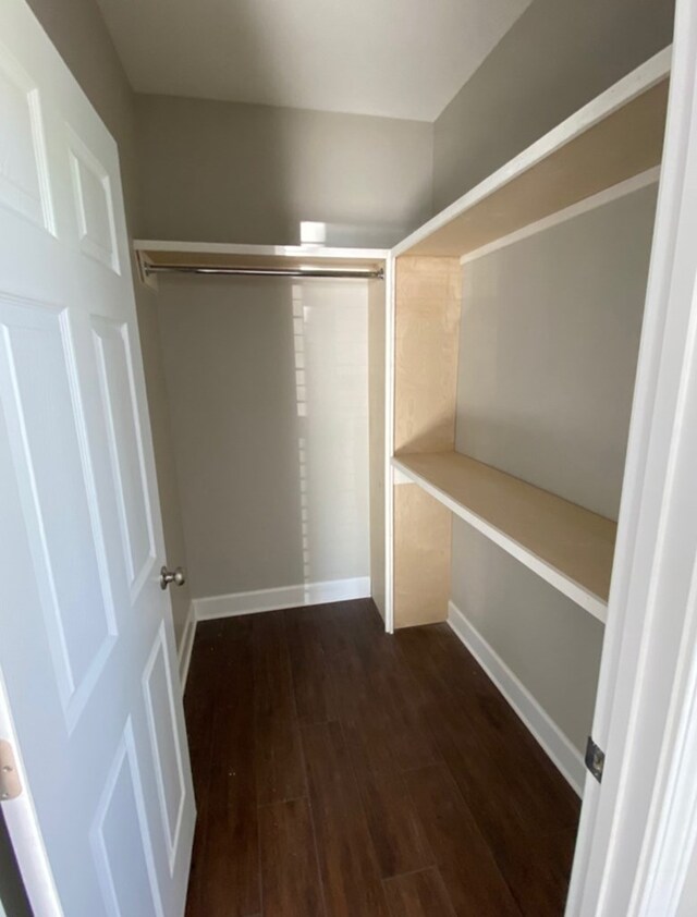 spacious closet with dark hardwood / wood-style flooring