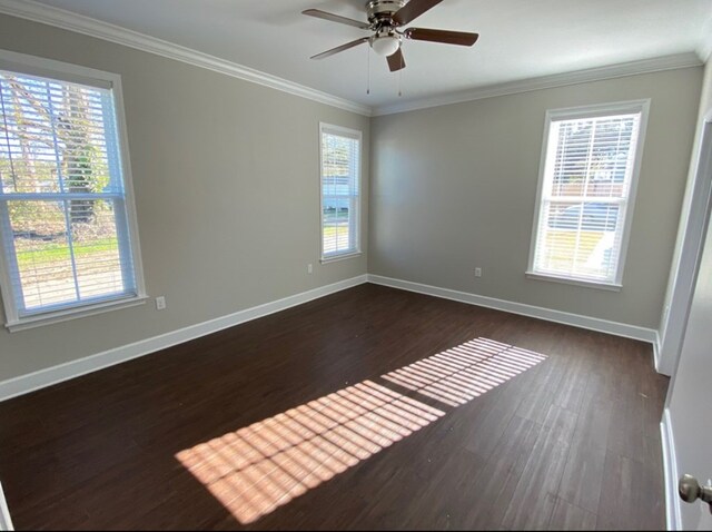 spare room featuring ceiling fan, crown molding, dark wood-type flooring, and a wealth of natural light