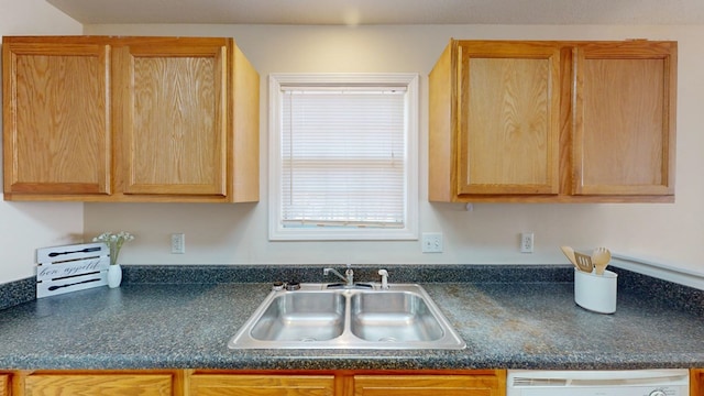 kitchen with sink and white dishwasher