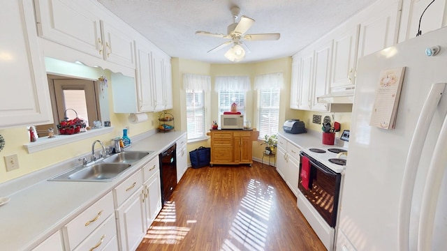 kitchen with under cabinet range hood, white appliances, wood finished floors, a sink, and white cabinets