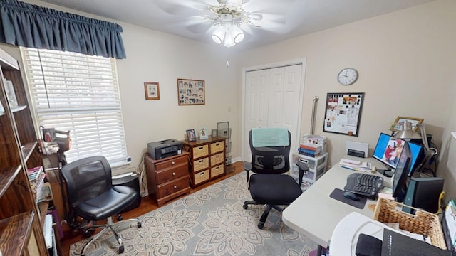 office featuring ceiling fan, a wealth of natural light, and wood finished floors