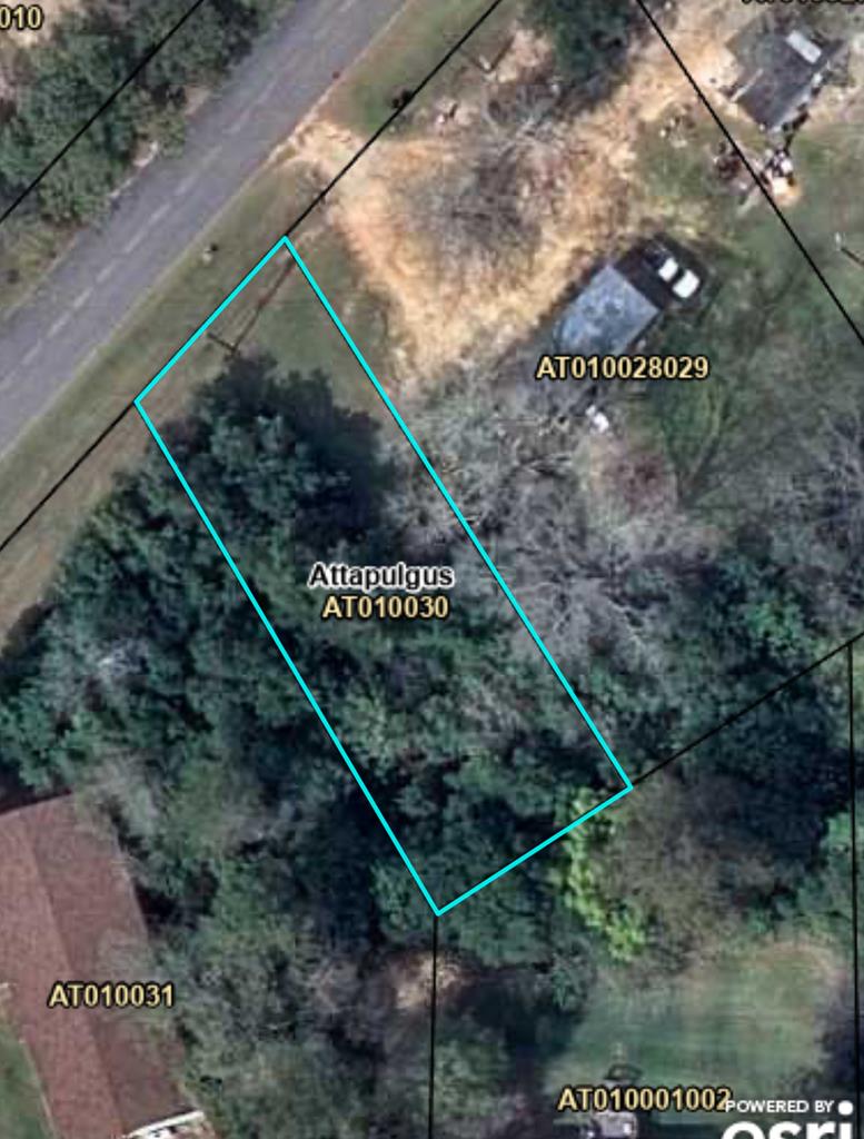 LOT33 Mcgriff St, Attapulgus, GA 39815