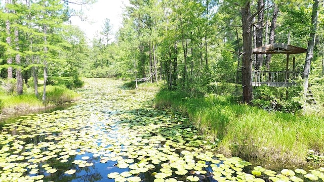 351 Plantation Ln, Thomasville, GA 31757 - view of nature