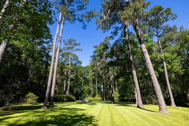 view of home's community with a lawn