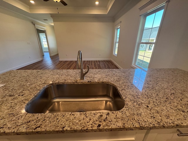 kitchen with crown molding, a raised ceiling, sink, and a wealth of natural light