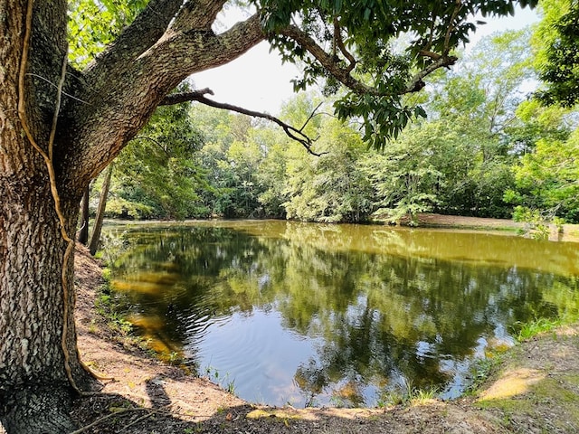 water view