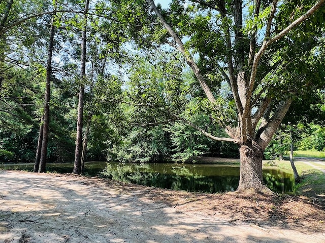 exterior space with a water view