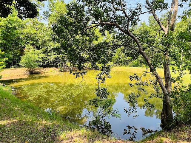 view of local wilderness featuring a water view