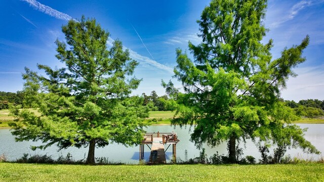 2860 Stringer Rd, Thomasville, GA 31792 - photo 8