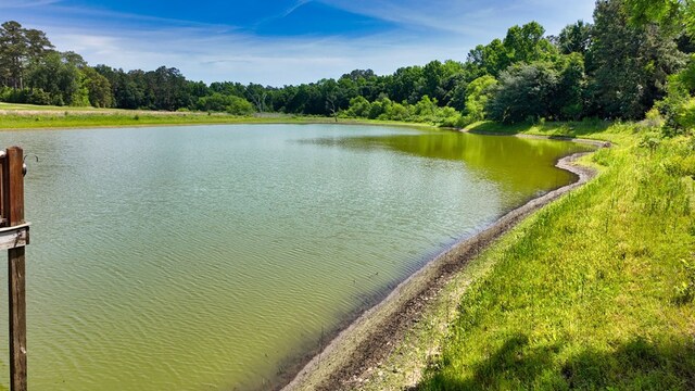 2860 Stringer Rd, Thomasville, GA 31792 - photo 85