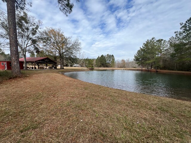 900 Benton Rd, Ochlocknee, GA 31773 - photo 17