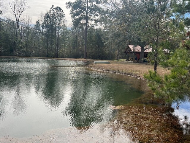 900 Benton Rd, Ochlocknee, GA 31773 - photo 13