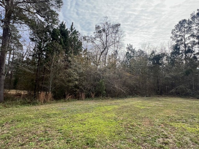 900 Benton Rd, Ochlocknee, GA 31773 - photo 22