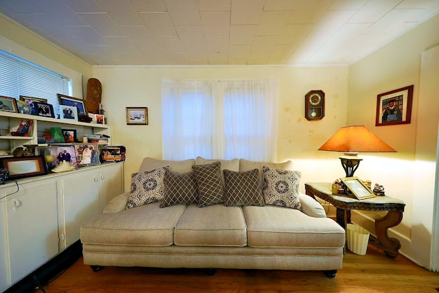 living area with plenty of natural light and wood finished floors