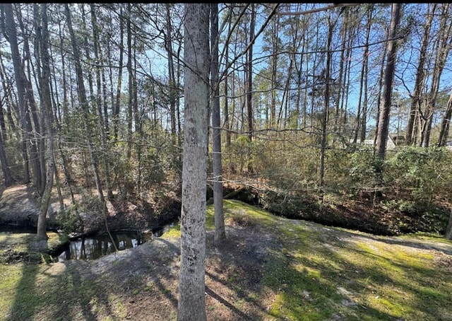 129 Eagles Landing Dr, Thomasville, GA 31792 - view of yard