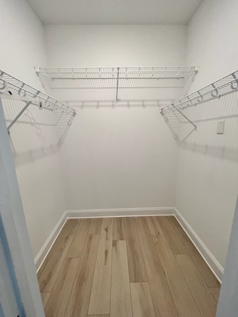 spacious closet featuring wood finished floors