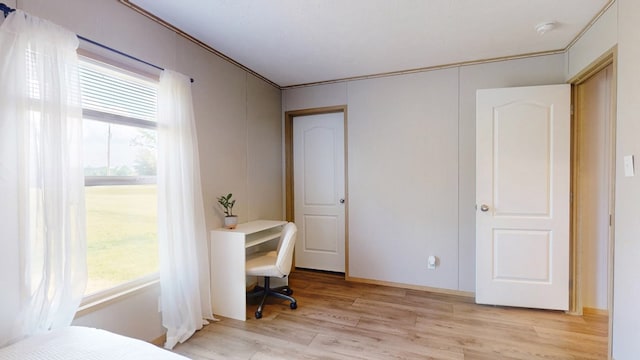 bedroom featuring light wood-style floors and multiple windows
