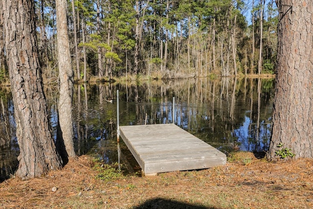 view of dock featuring a water view