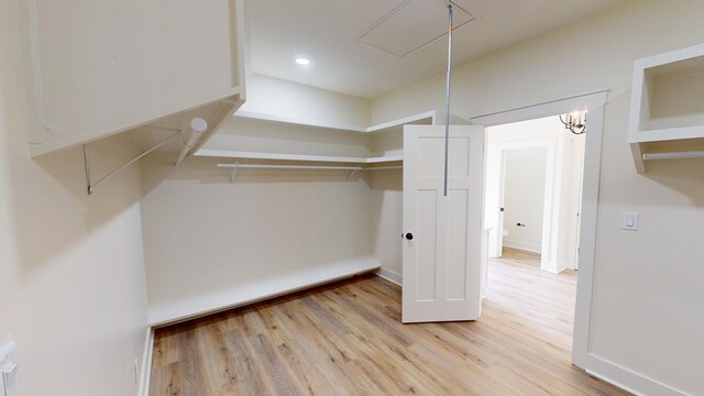 spacious closet featuring light hardwood / wood-style flooring