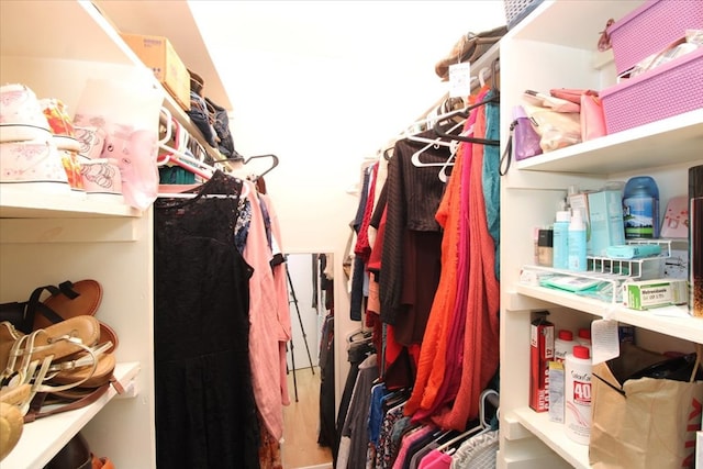 view of spacious closet