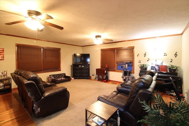 303 SE 4th Ave, Cairo, GA 39828 - living area with ceiling fan and ornamental molding