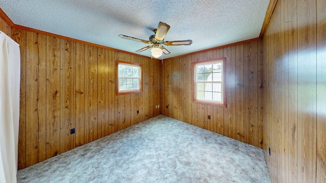 2001 Redfearn St, Barwick, GA 31720 - spare room with healthy amount of natural light, wood walls, ceiling fan, carpet, and a textured ceiling