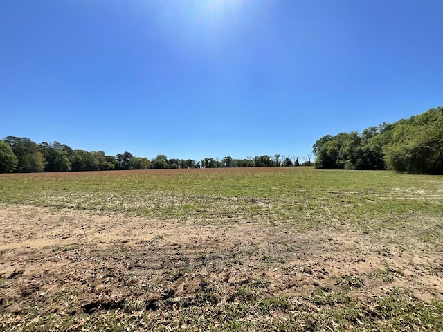 1975 Rook Rd, Ochlocknee, GA 31773 - photo 12