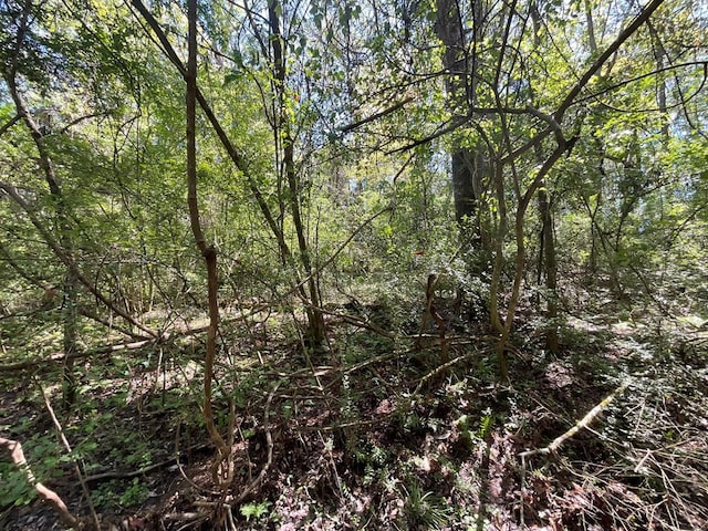 1975 Rook Rd, Ochlocknee, GA 31773 - photo 36
