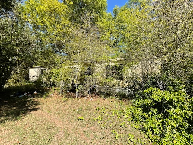1975 Rook Rd, Ochlocknee, GA 31773 - photo 15