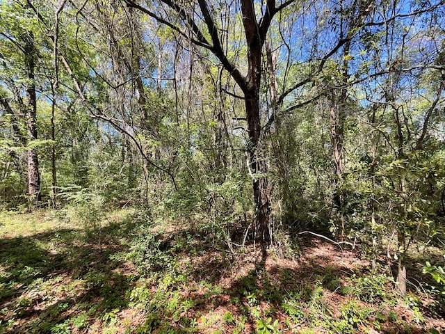 1975 Rook Rd, Ochlocknee, GA 31773 - photo 29