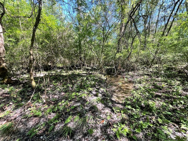 1975 Rook Rd, Ochlocknee, GA 31773 - photo 35