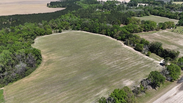 1975 Rook Rd, Ochlocknee, GA 31773 - photo 3