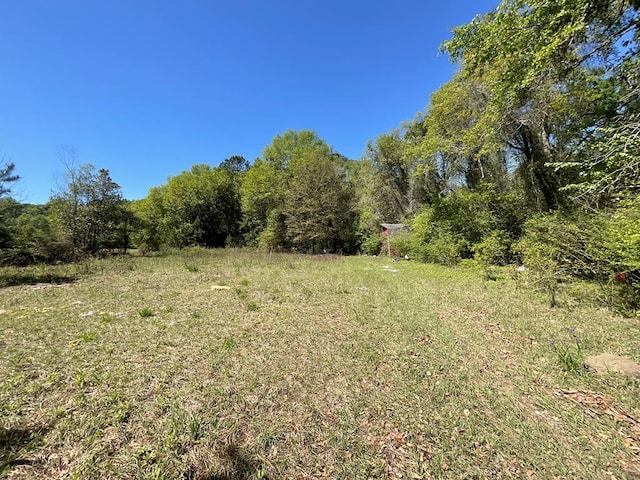 1975 Rook Rd, Ochlocknee, GA 31773 - photo 23