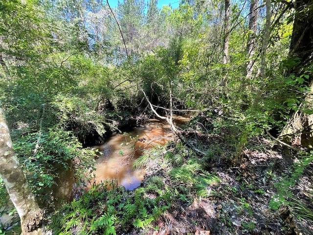 1975 Rook Rd, Ochlocknee, GA 31773 - photo 30